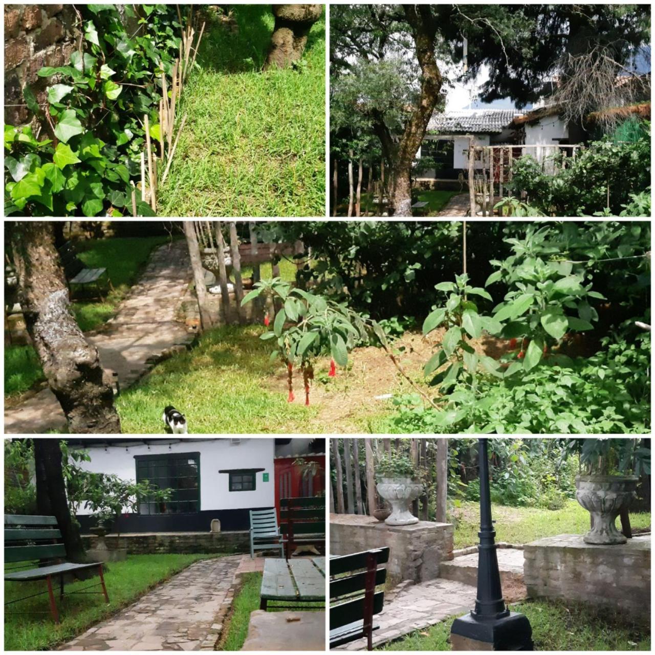 Cedron Hostel Bogotá Dış mekan fotoğraf