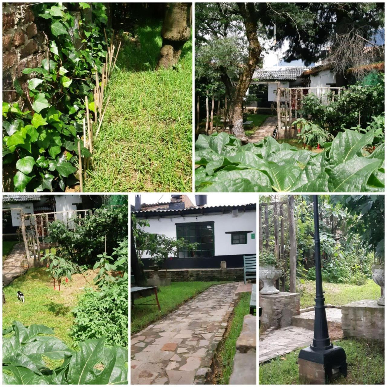 Cedron Hostel Bogotá Dış mekan fotoğraf